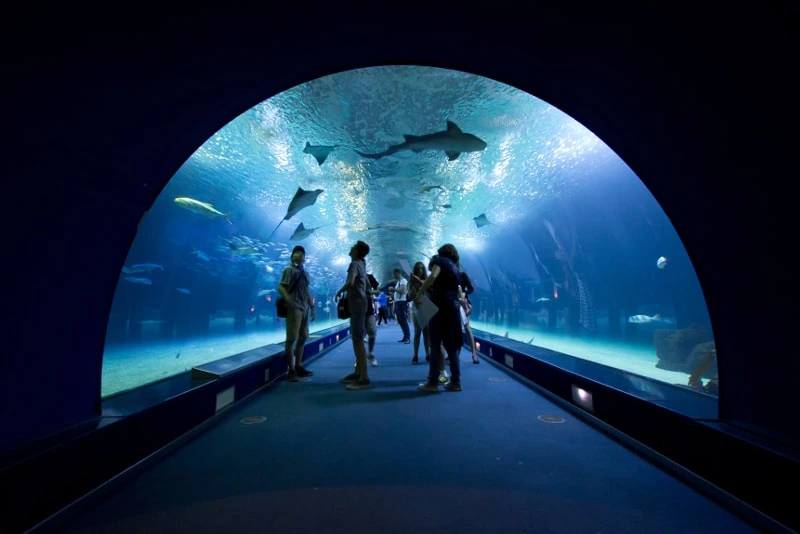 Apartamentos Turísticos Cerca del Oceanogràfic Valencia