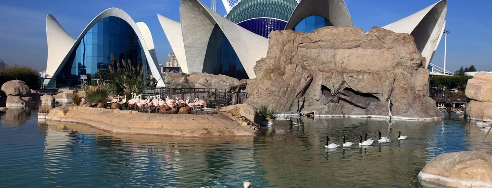 Apartamentos Turísticos Cerca del Oceanogràfic Valencia