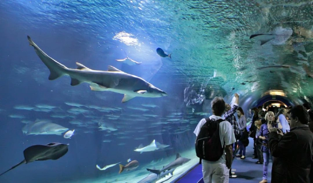 Apartamentos Turísticos Cerca del Oceanogràfic Valencia