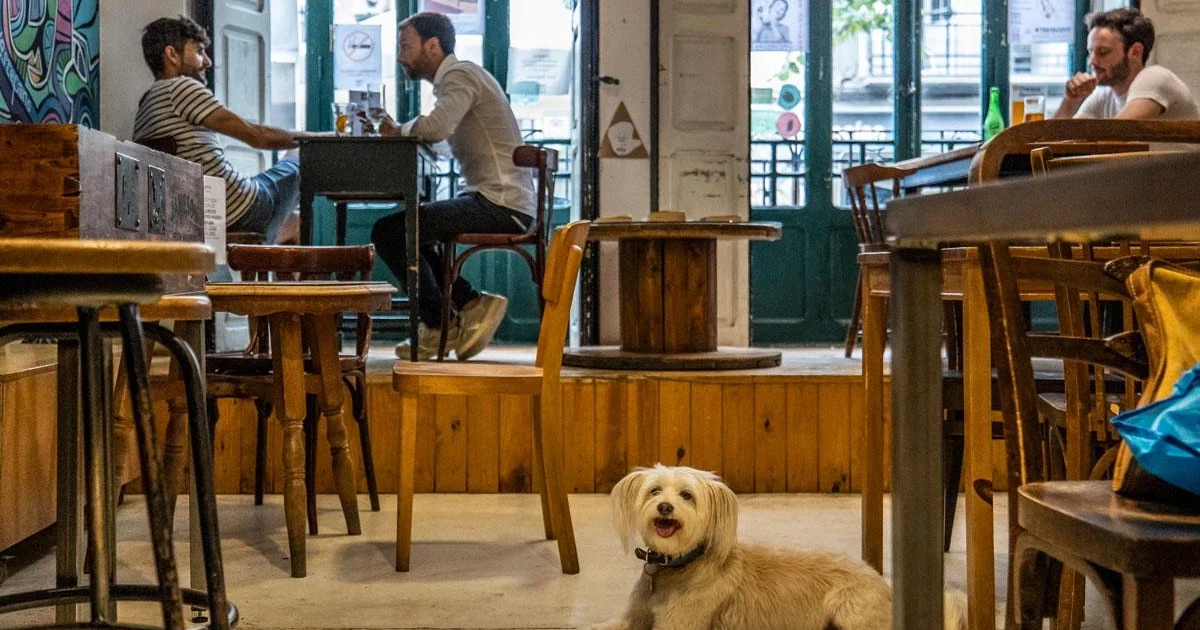 Ubik Café