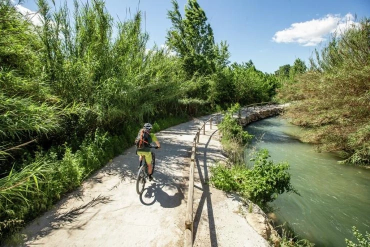 alojamiento turístico Valencia para viajeros activos y deportistas