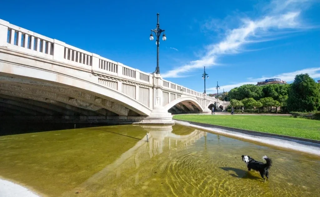 Alojamiento turístico Valencia verano pet-friendly