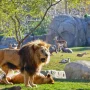apartamentos en Valencia cerca del Bioparc