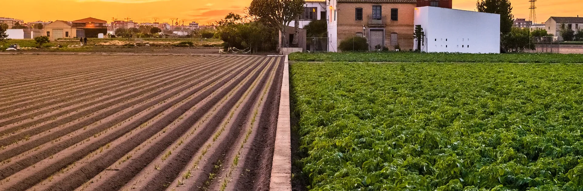 Alojamiento en Valencia cerca de Alboraya para ruta de horchata y huerta