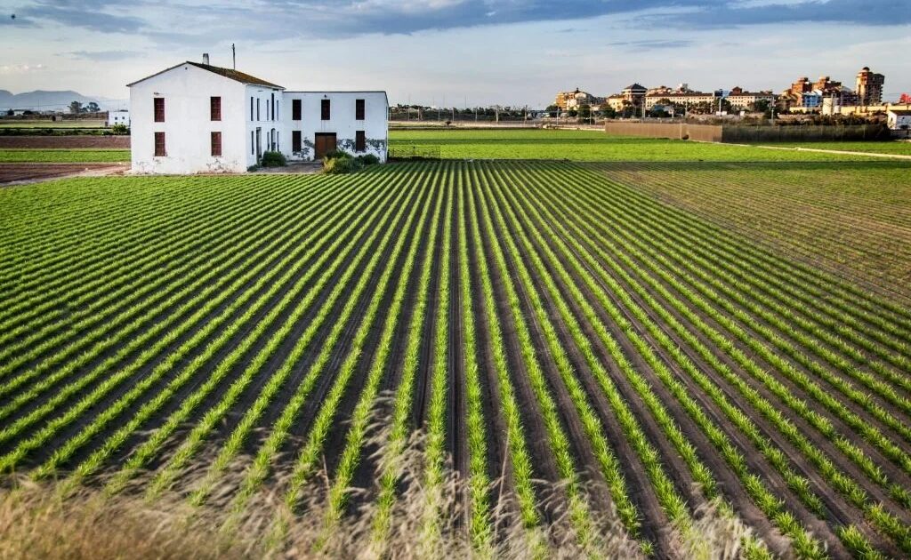Alojamiento en Valencia cerca de Alboraya para ruta de horchata y huerta